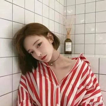 冒牌总统